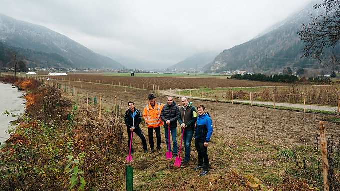 aufforstung infineon villach oswaldibergtunnel 1
