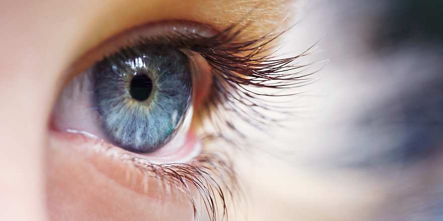 banner-image