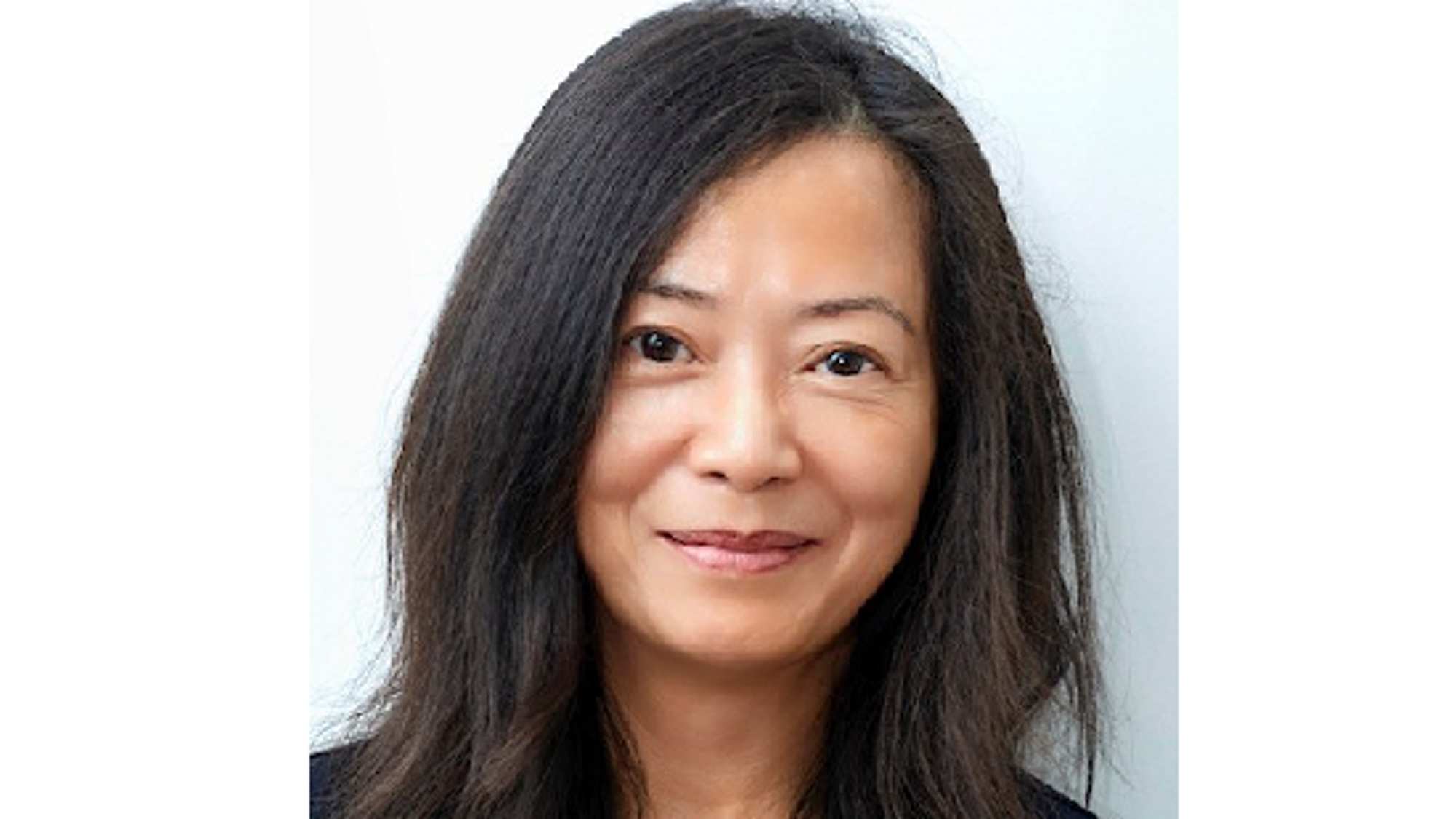 Infineon on-board charger