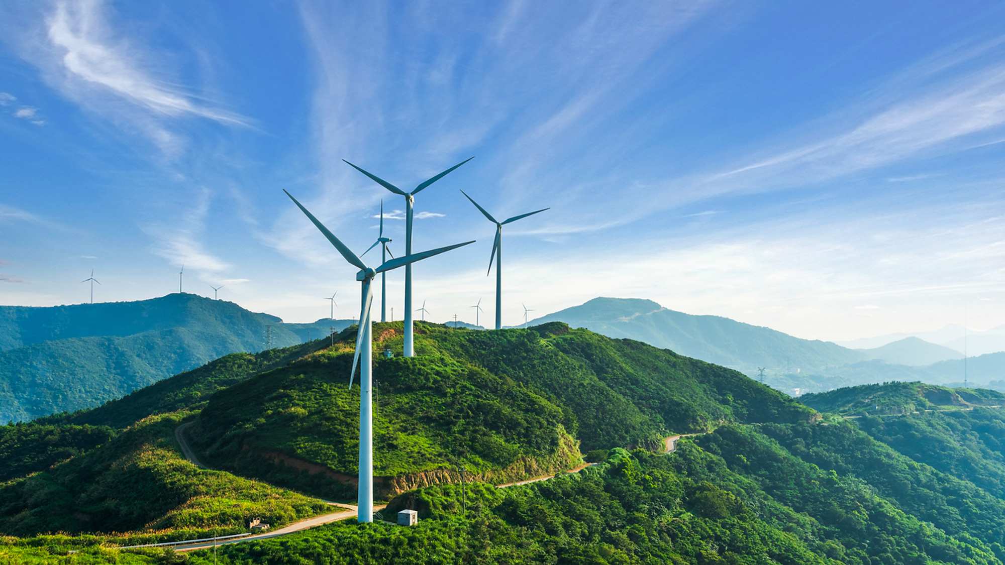 プレースホルダ