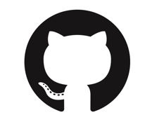 Github icon