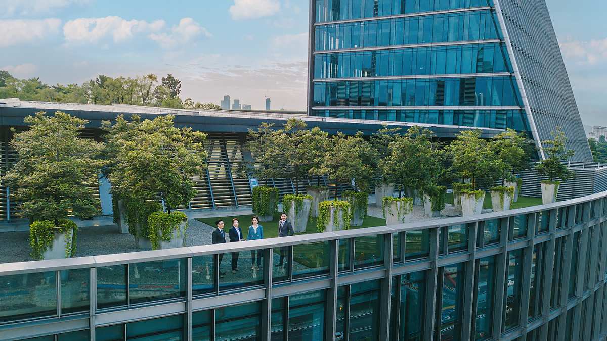 Green rooftop urban building