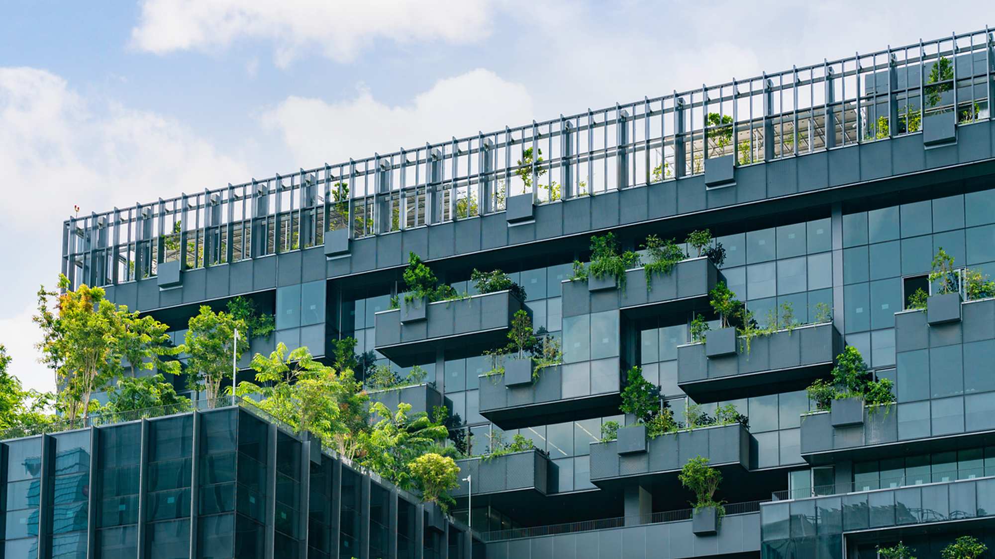 green urban building