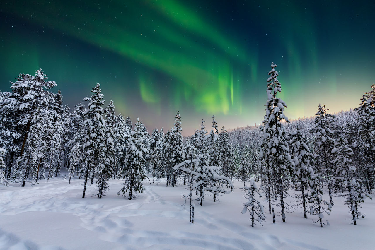 Infineon in Sweden and Finland