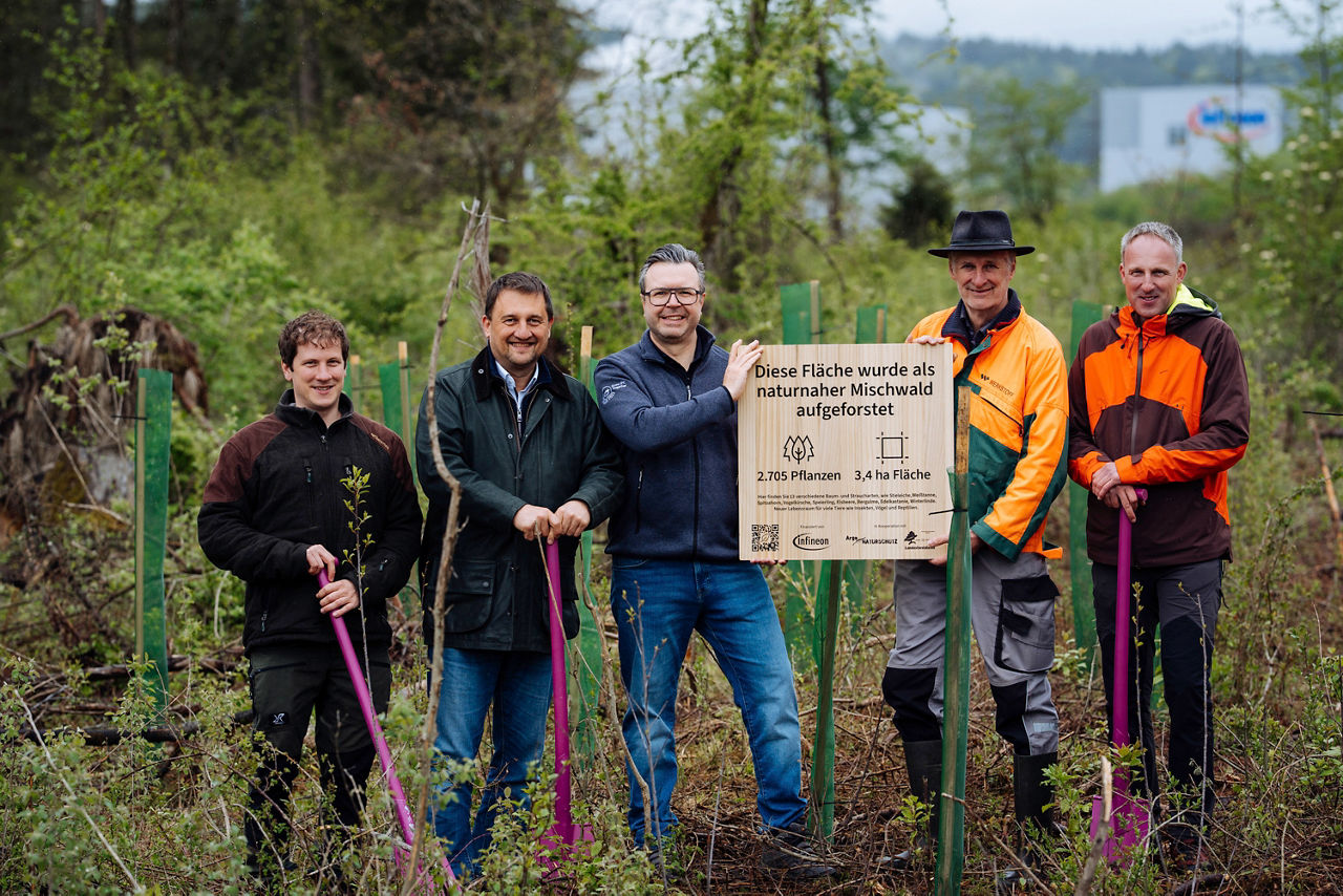 Aufforstung 2025