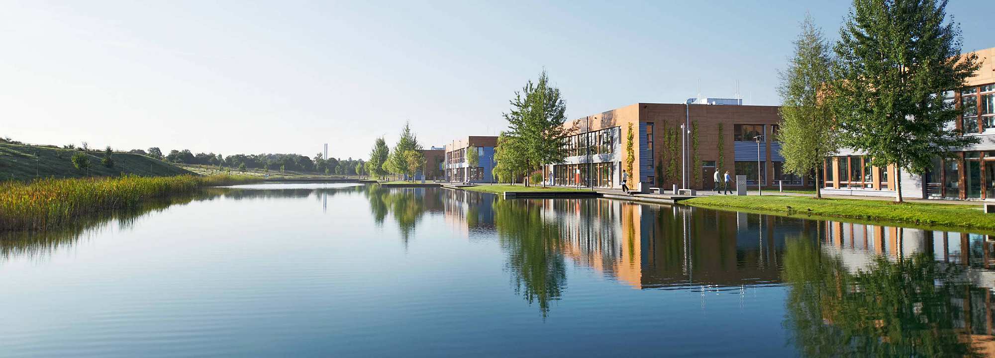 The image shows Infineon Campeon in summer. In the foreground, calm water reflects the modern buildings with wood and glass facades and the surrounding green trees. Along the shoreline, lush greenery and the architecture create a natural campus or business park atmosphere. On the right, tall conifer trees stand on well-kept lawns. The scene is set under a clear blue sky and conveys a peaceful, eco-friendly environment.