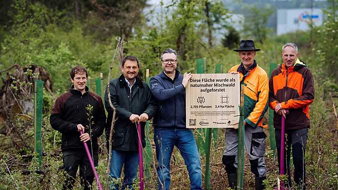 Infineon Austria and ARGE reforestation campaign