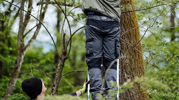 Infineon Austria reforesation campaign with employees