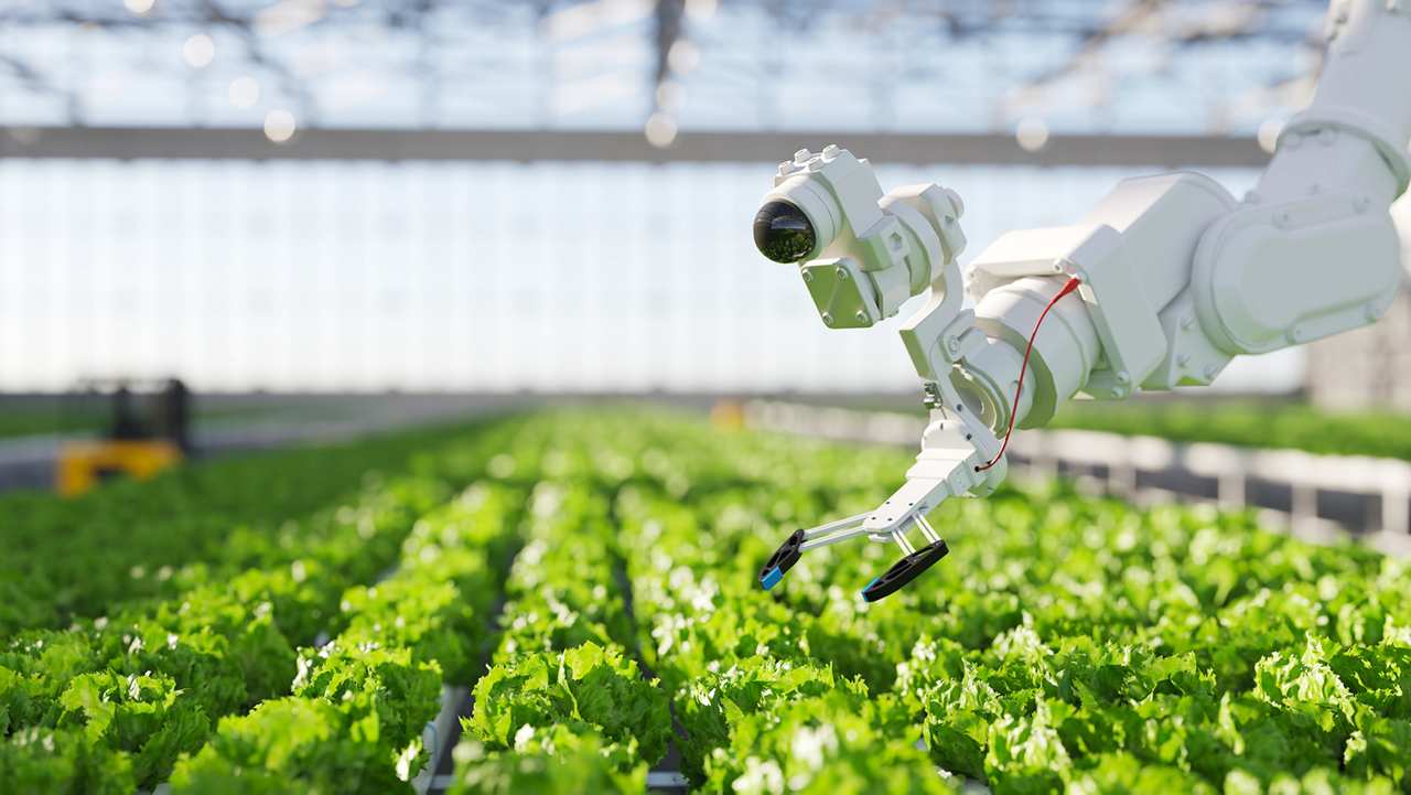 All information on our strategy and the past fiscal year 2025 