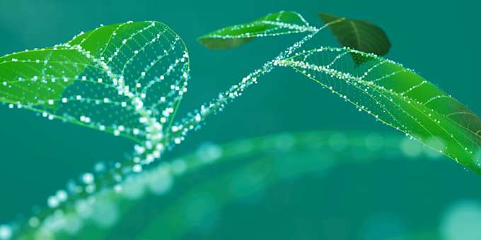 High voltage automotive battery management systems