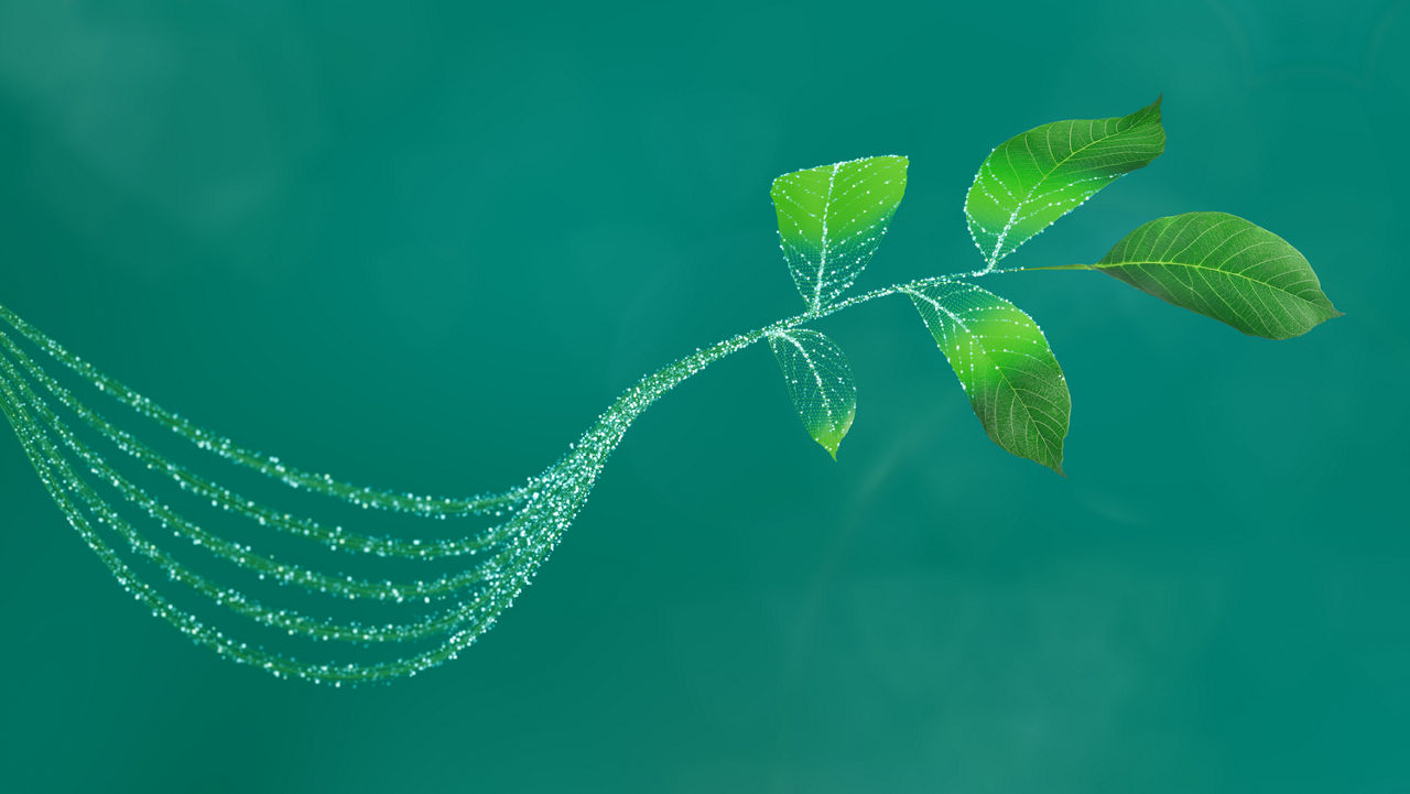 Driving decarbonization and digitalization. Together.