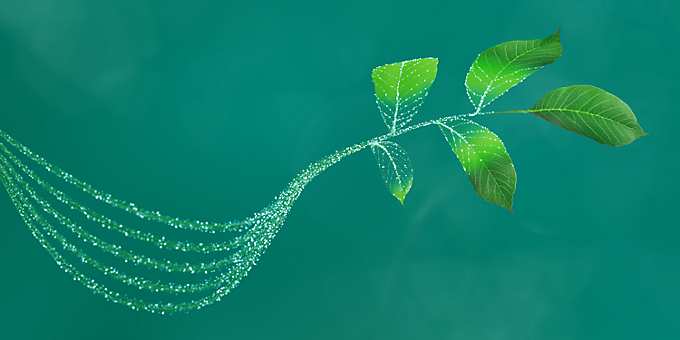Driving decarbonization and digitalization. Together.