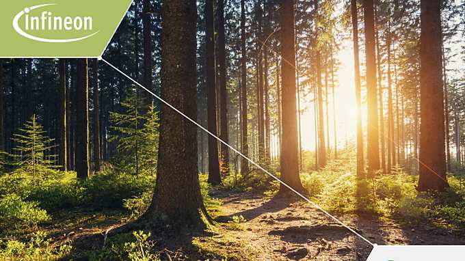Infineon Rainforest Connection