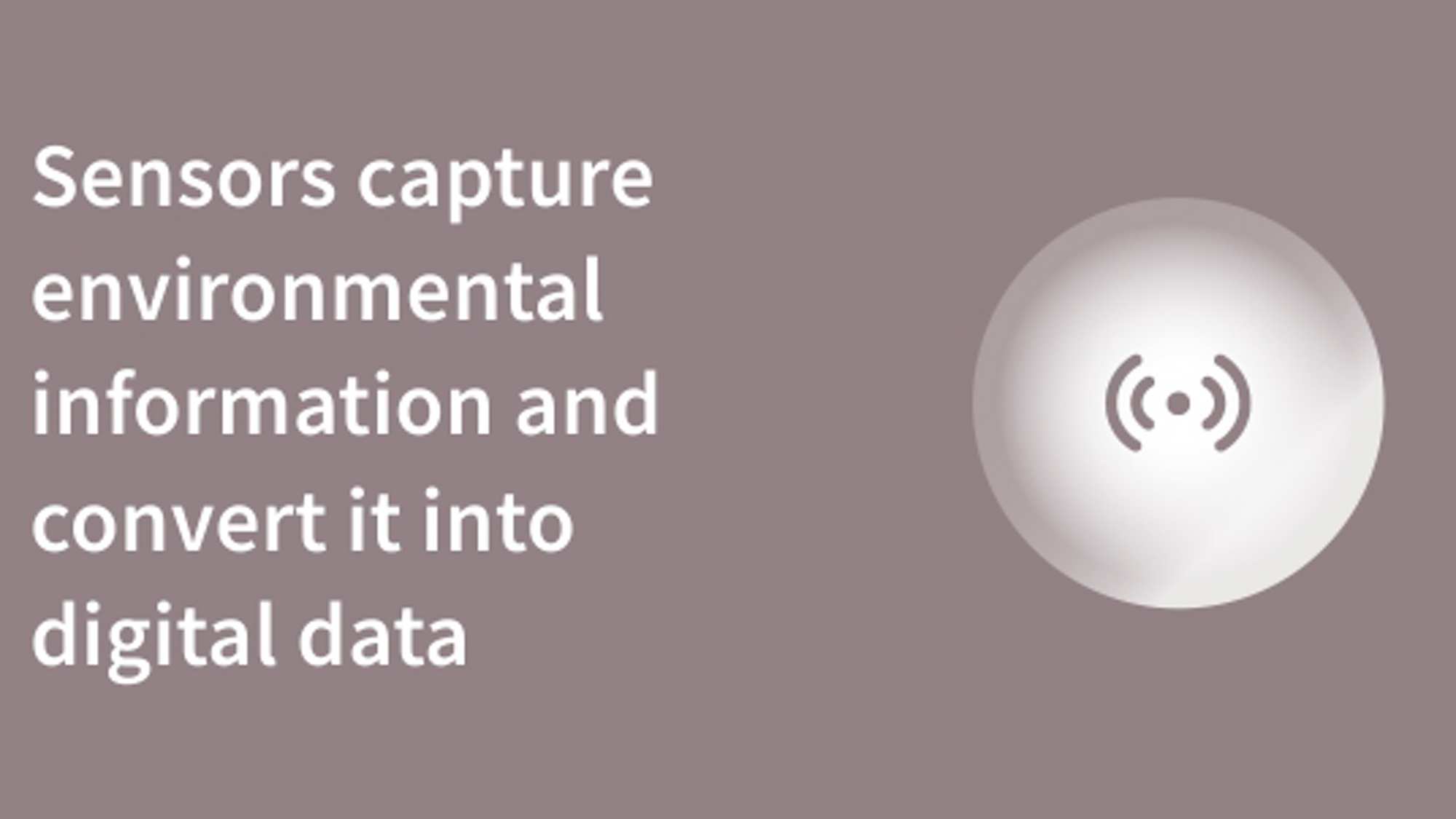 iot Sense Sensors