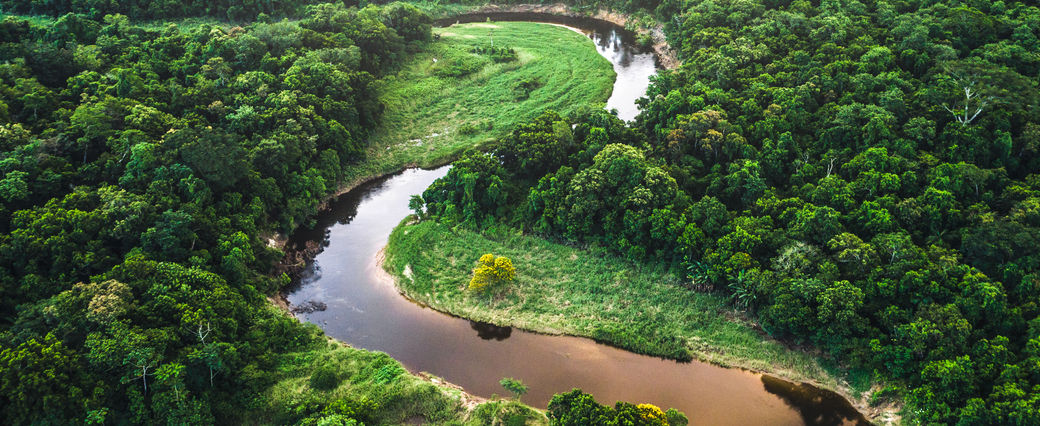 Biodiversity and No-Deforestation