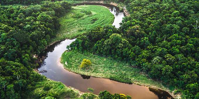 Biologische Vielfalt anstelle von Abholzung