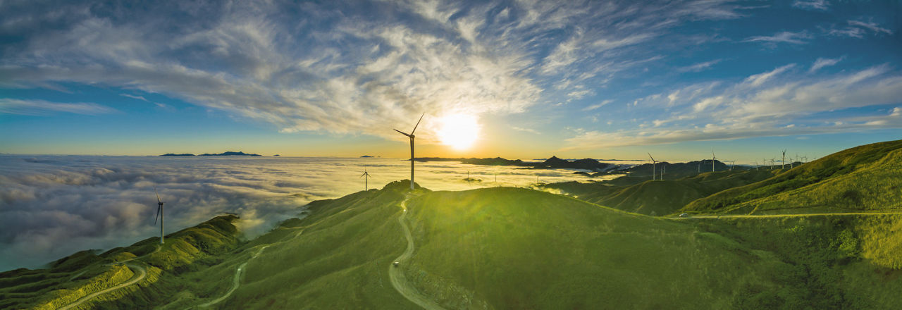 Environmental Sustainability