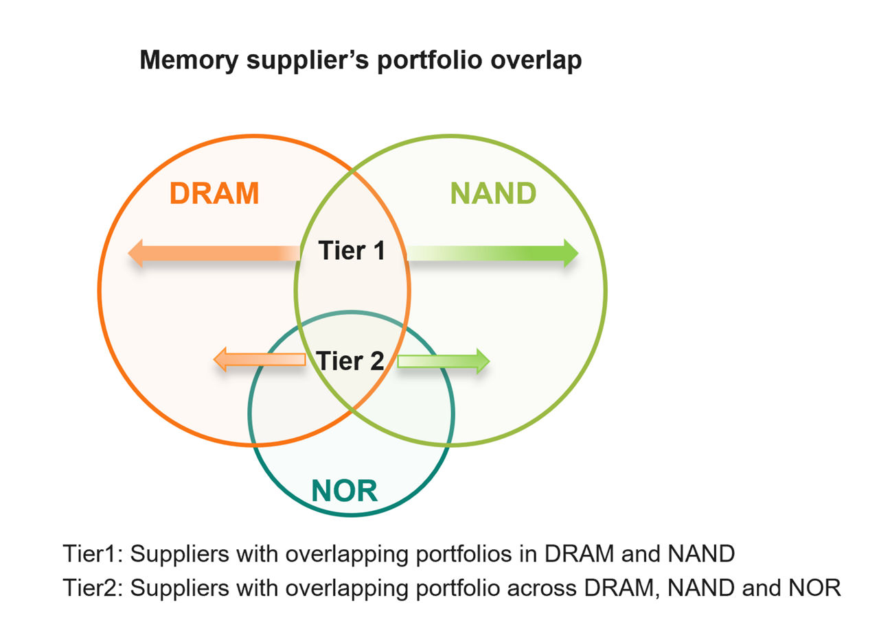 Memory Supplier Portfolio