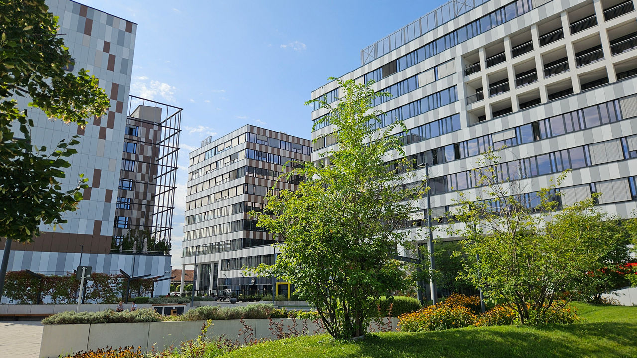 Infineon in Serbia