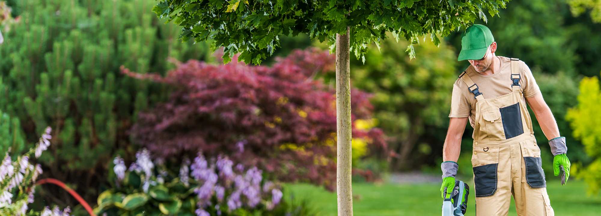 pss cordless leaf blower