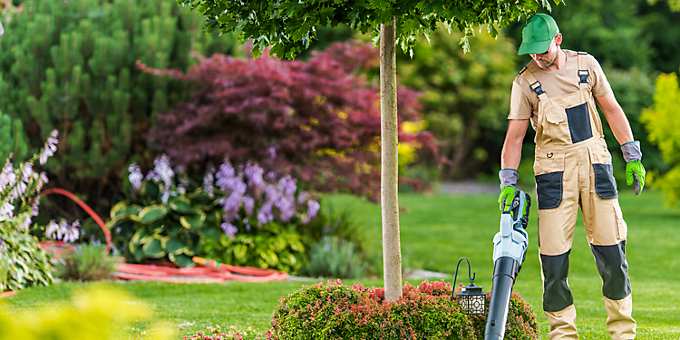 pss cordless leaf blower