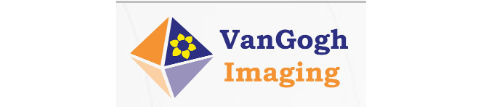van-gogh