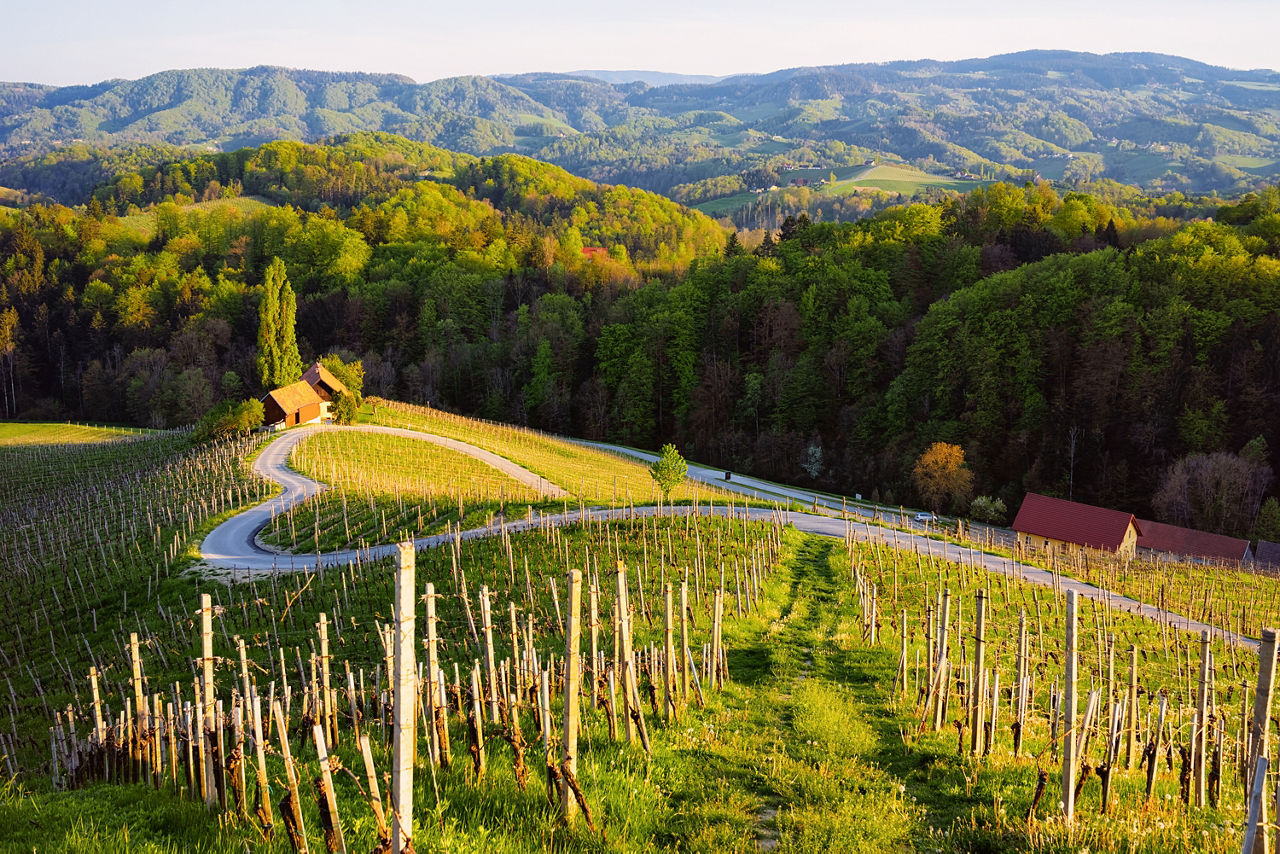 Famous “Weinstraße” and vineyards south of Graz
