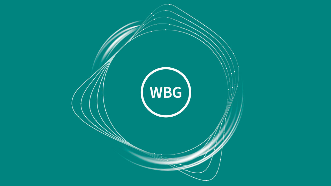 Wide-Bandgap Semiconductors (SiC/GaN)