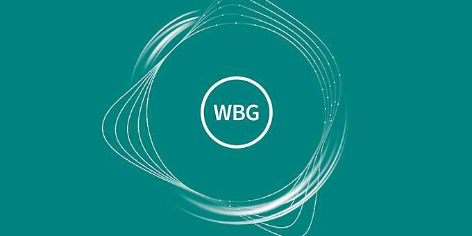 Wide-Bandgap Semiconductors (SiC/GaN)