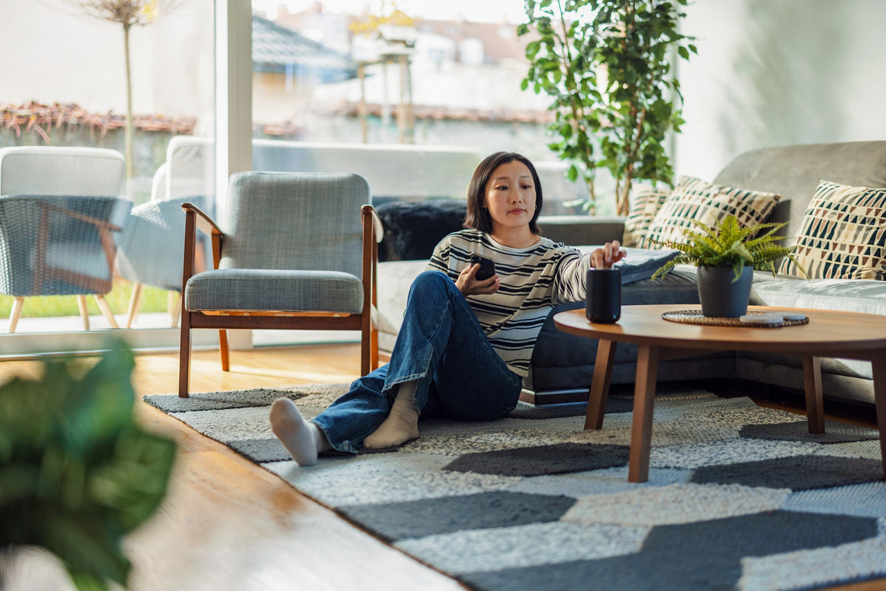 Power Efficient Audio and Voice Solution